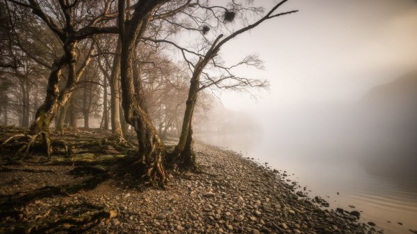 Пейзаж пасмурный день