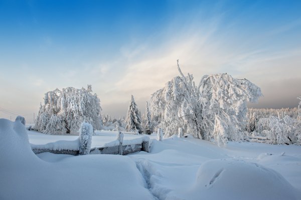 Зимняя природа России