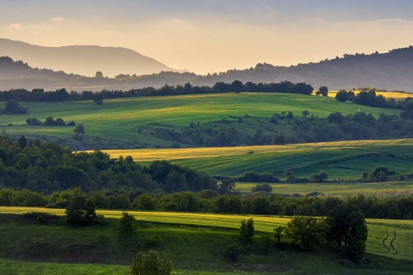 Пейзаж холмы