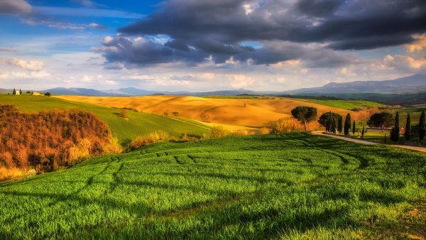 Поля Тосканы