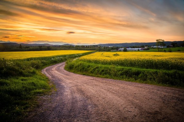 Пейзаж с дорогой