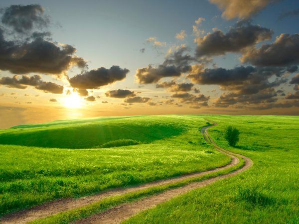 Дорога поле солнце