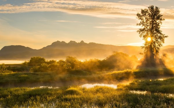 Утро природа