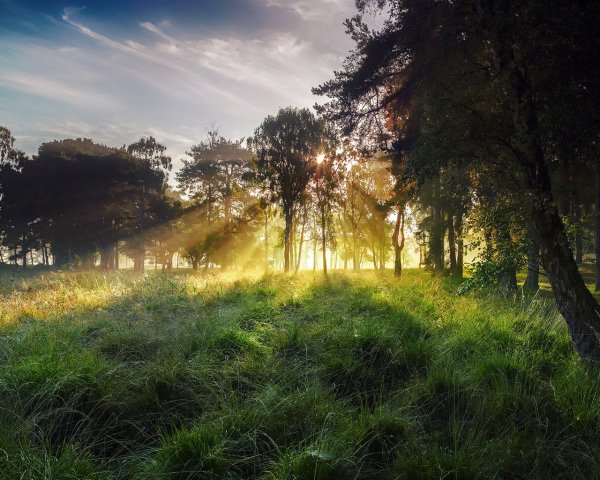 Весенний рассвет