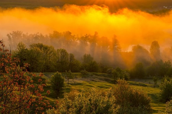 Природа в пастельных тонах