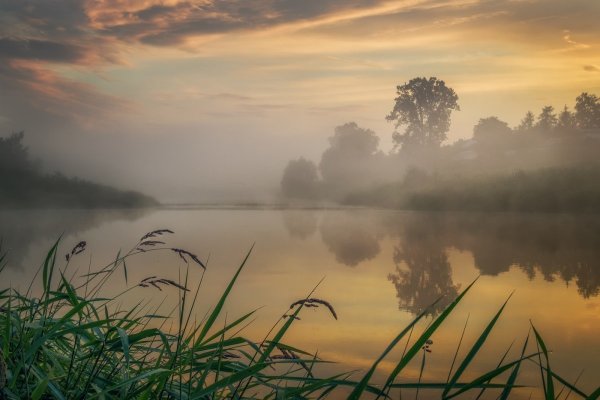 Пейзаж туман