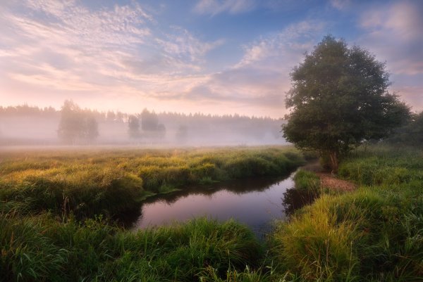 Раннее утро на реке