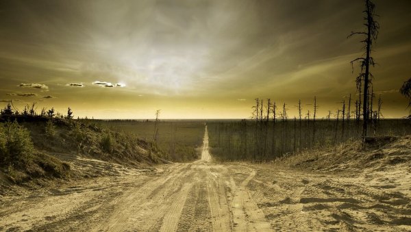 Дорога постапокалипсис