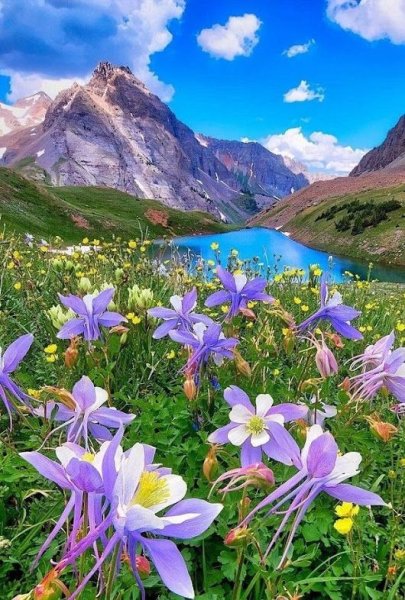 Летний пейзаж