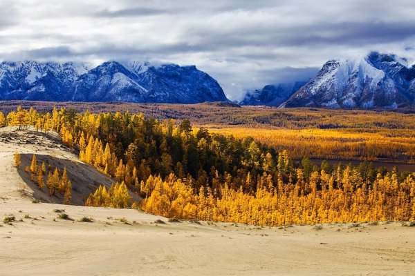 Природа Забайкальского края Чита