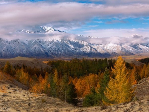 Природа Забайкалья Кодар