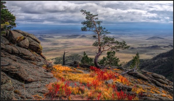 Тайга Забайкальского края осенью