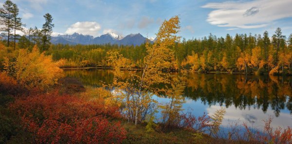 Природа Забайкальского края Витим