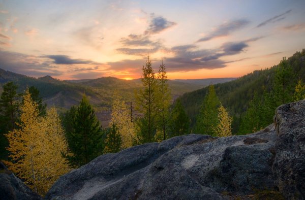 Лес горы Забайкалье