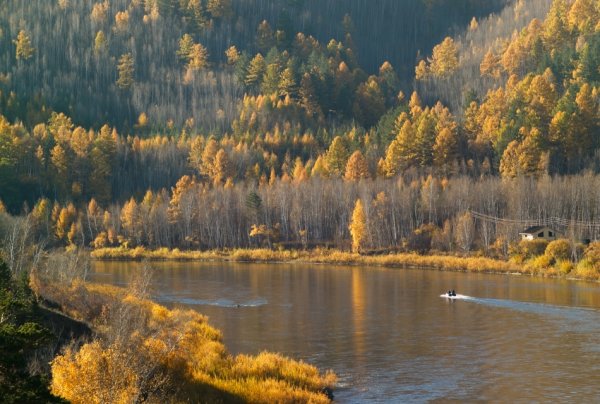 Забайкальский край природа осень