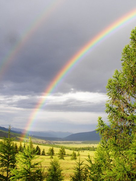 Природа Забайкальского края