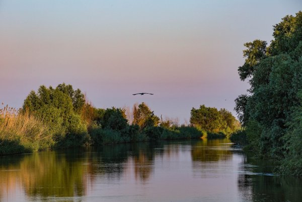 Дельта реки Волга