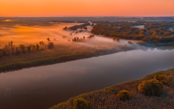 Лашков Дельта Волги
