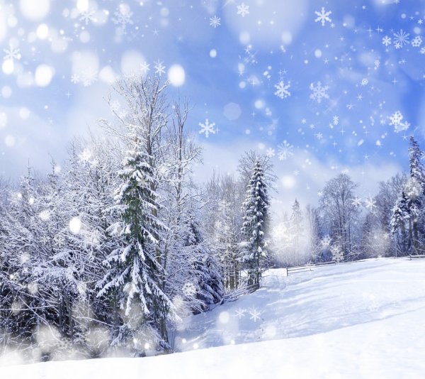 Зимний пейзаж по вертикали