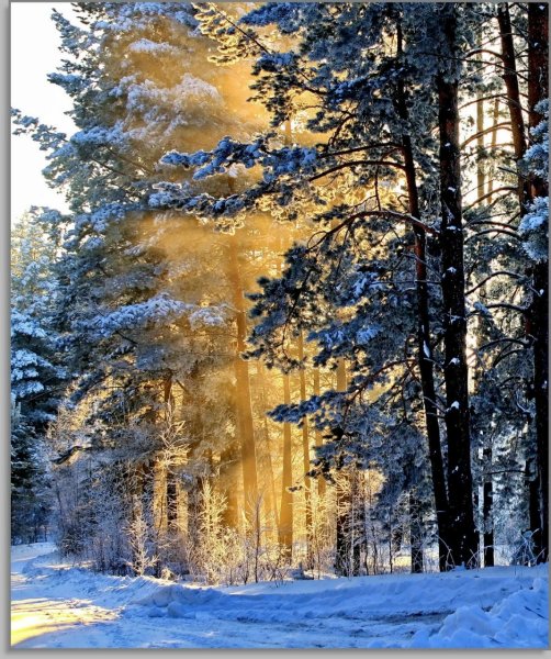 Зимний пейзаж