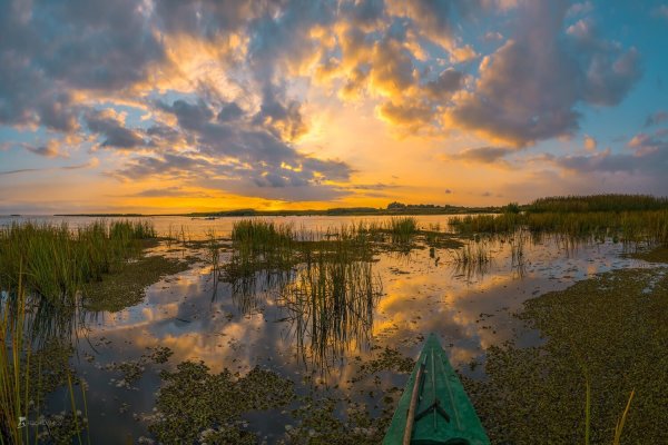 Фёдор Лашков Дельта Волги