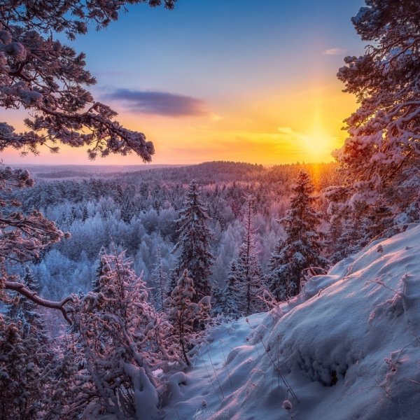 Зима пейзаж