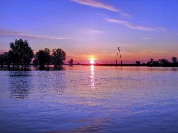 Заповедник Камызяка Астрахань