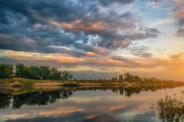 Волгоградская область Волго-Ахтубинская Пойма