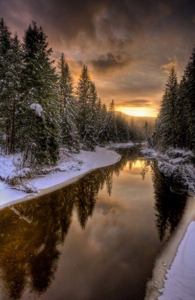 Зима вертикальные