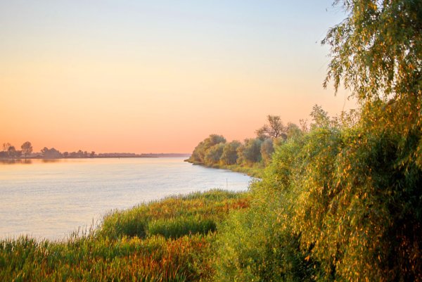 Астрахань Волга природа