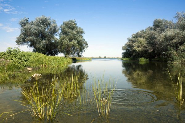 Икрянинский район Астраханской области природа