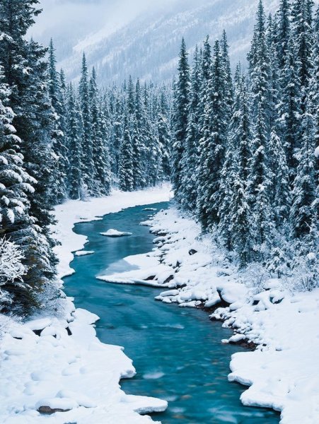 Красивая Снежная зима