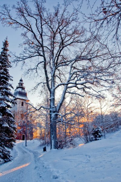 Фотографии зимы