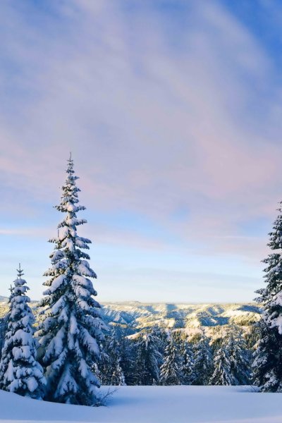 Красивый закат зимой