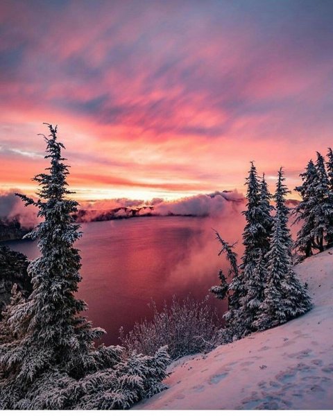 Декабрь природа