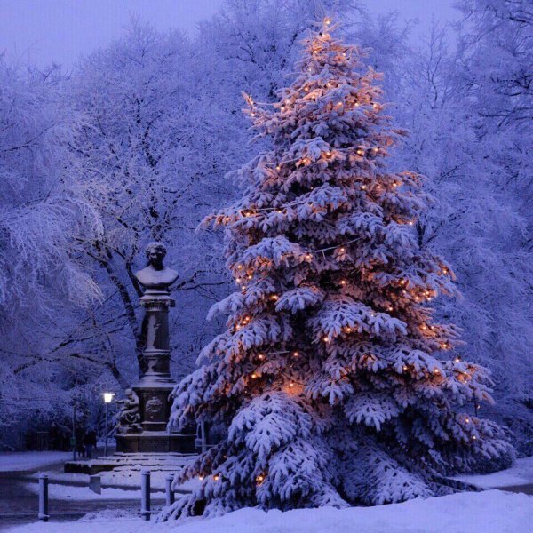 Зимняя природа