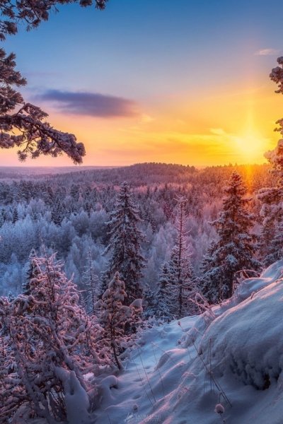 Зимний пейзаж