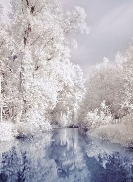 Зимняя природа