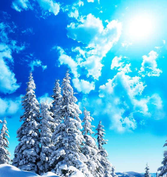 Зимняя река