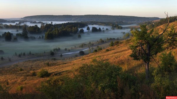 Александр Дергаусов Шебекино