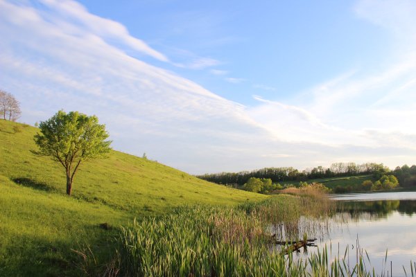 Белгород пейзаж