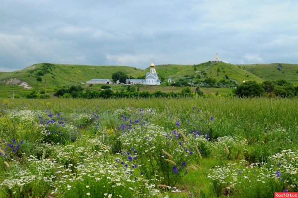Природа Белгородской области