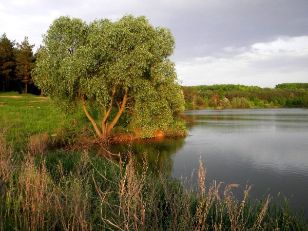Село Подольхи Прохоровский район Белгородской области