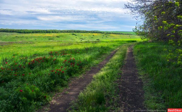 Меловые горы Белгород