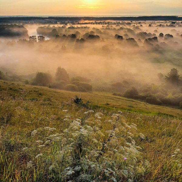 Барская гора Тамбовская область