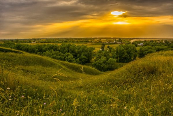 Лысые горы Тамбов