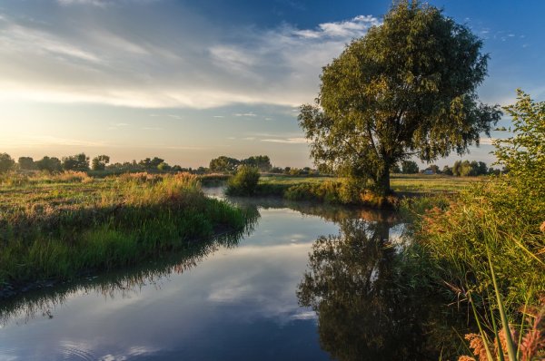 Пейзажи Тамбовской области