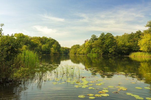 Река ворона Тамбов