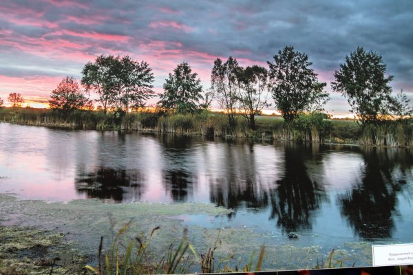 Красивые места Тамбовской области природа