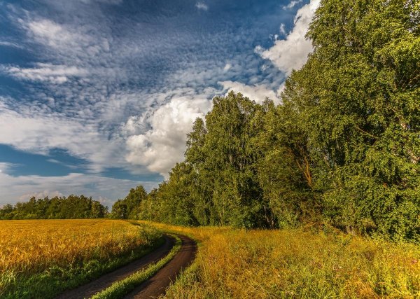 Осень в Тамбовской области